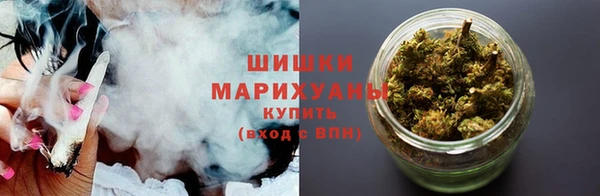 PSILOCYBIN Алзамай