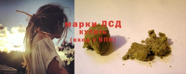 PSILOCYBIN Алзамай