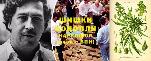 ГАЛЛЮЦИНОГЕННЫЕ ГРИБЫ Надым