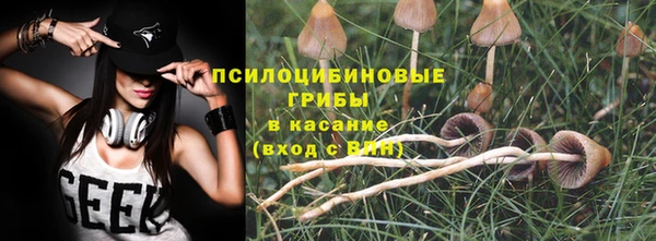 PSILOCYBIN Алзамай