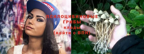 ГАЛЛЮЦИНОГЕННЫЕ ГРИБЫ Алексин