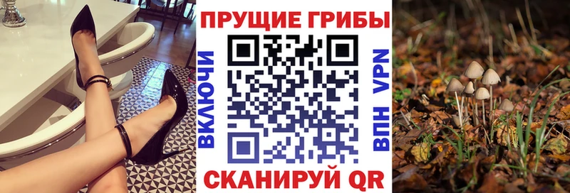 где можно купить наркотик  мориарти какой сайт  Галлюциногенные грибы GOLDEN TEACHER  Любим 