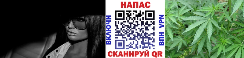 Марихуана SATIVA & INDICA Любим